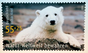 Knut (2006-2011), a Berlini Állatkert világhírű jegesmedvéje Knut (2006-2011), a Berlini Állatkert világhírű jegesmedvéje