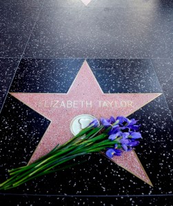 Elizabeth Taylor (1932-2011) Oscar-díjas amerikai-brit színésznő csillaga a Hollywoodi Hírességek sétányán Los Angelesben 2011. március 23-án, miután meghalt a színésznő Elizabeth Taylor (1932-2011) Oscar-díjas amerikai-brit színésznő csillaga a Hollywoodi Hírességek sétányán Los Angelesben 2011. március 23-án, miután meghalt a színésznő