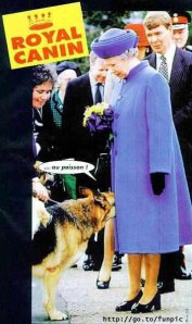 II. Erzsébet brit királynő találkozása egy németjuhásszal II. Erzsébet brit királynő találkozása egy németjuhásszal