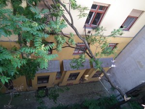 Kidőlt fa Budapest 7. kerületében 2011. július 12-én (Mészáros Márton felvétele)