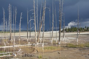 Yellowstone Nemzeti Park egy másik oldalról megközelítve (Mészáros Márton felvétele)