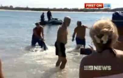 Két walesi turista visszatereli a nyílt vízbe a cápát az ausztráliai Queensland egyik strandján 2013. január 20-án
