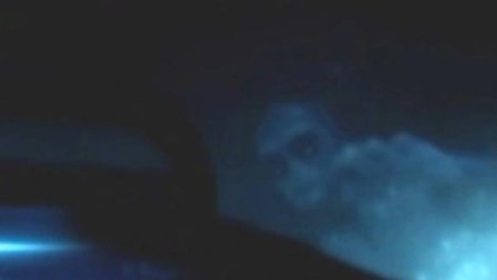 Sellőhöz hasonló lény a grönlandi tenger közelében 2013. március 6-án (Animal Planet)