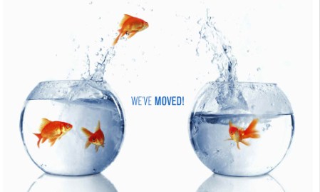 Az új cím mellett a régin is elérhetőek vagyunk