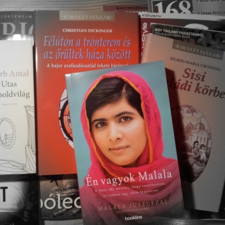 Legújabb szerzeményeim közül néhány (Fotó: Mészáros Márton, 2013. október 28.)