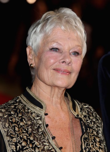 Judi Dench brit színésznő a Philomena című filmje premierjén a londoni filmfesztiválon 2013. október 16-án