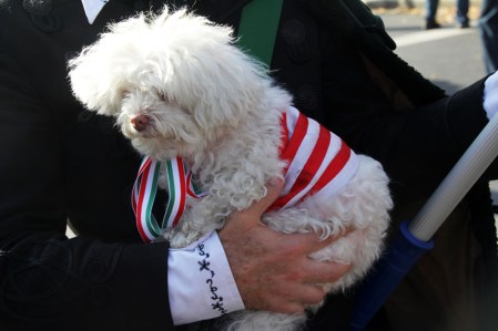 Kutya a Székelyek nagy menetelése elnevezésű erdélyi rendezvénnyel egy időben megrendezésre kerülő budapesti demonstráció a román nagykövetség előtt 2013. október 27-én (Fotó: Mészáros Márton)