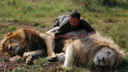 Kevin Richardson oroszlánjaival